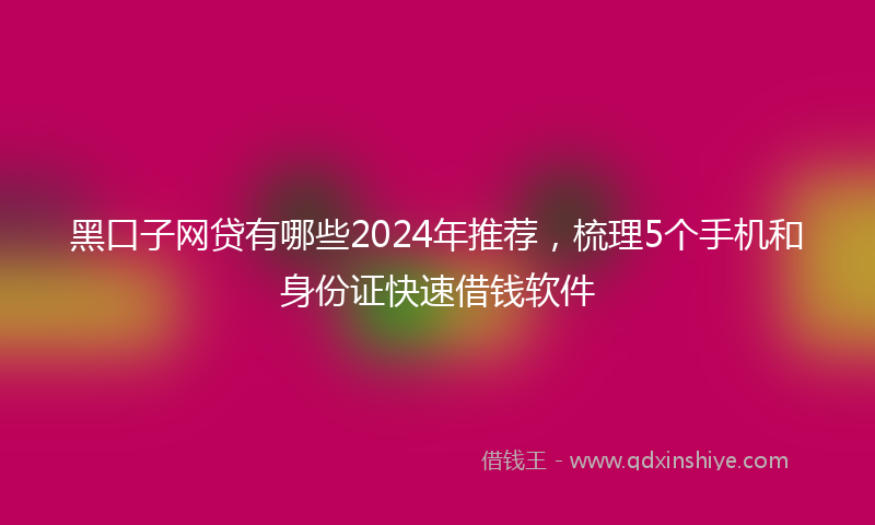 黑口子网贷有哪些2024年推荐，梳理5个手机和身份证快速借钱软件