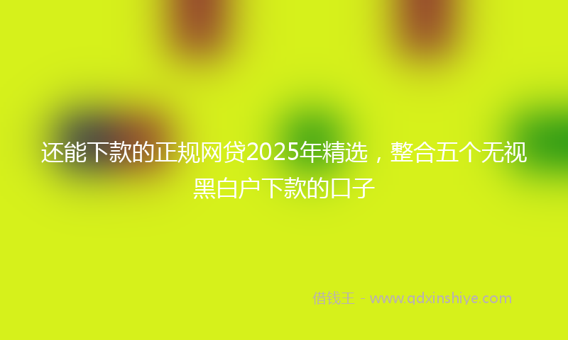 还能下款的正规网贷2025年精选，整合五个无视黑白户下款的口子