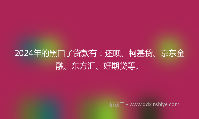 2024年的黑囗子贷款有：还呗、柯基贷、京东金融、东方汇、好期贷等。