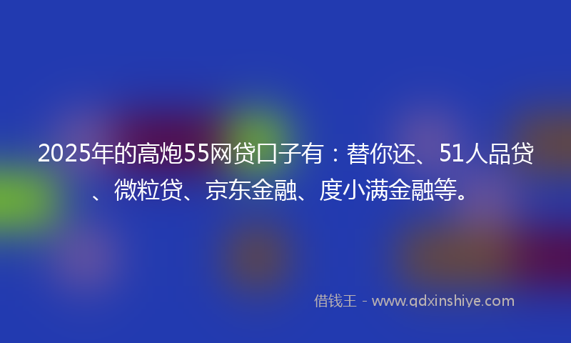2025年的高炮55网贷口子有：替你还、51人品贷、微粒贷、京东金融、度小满金融等。