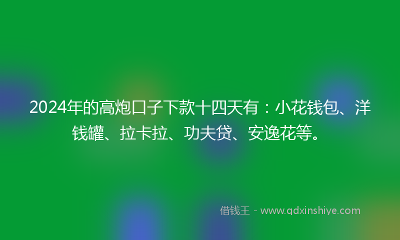 2024年的高炮口子下款十四天有：小花钱包、洋钱罐、拉卡拉、功夫贷、安逸花等。