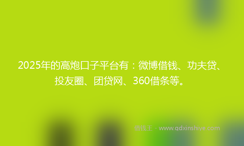 2025年的高炮口子平台有：微博借钱、功夫贷、投友圈、团贷网、360借条等。