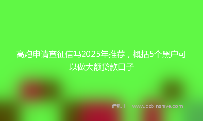 高炮申请查征信吗2025年推荐，概括5个黑户可以做大额贷款口子