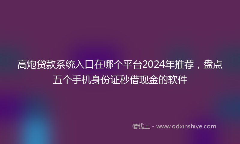 高炮贷款系统入口在哪个平台2024年推荐，盘点五个手机身份证秒借现金的软件