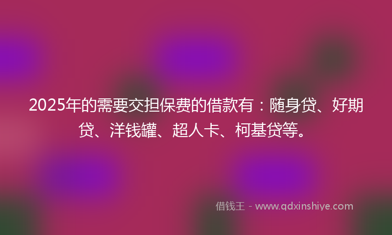 2025年的需要交担保费的借款有：随身贷、好期贷、洋钱罐、超人卡、柯基贷等。