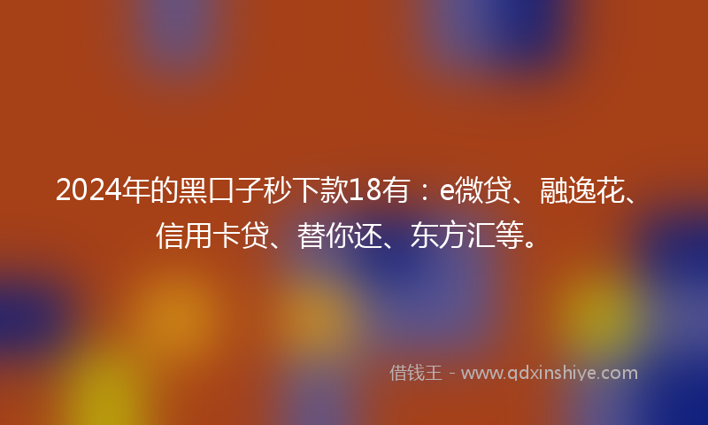 2024年的黑口子秒下款18有：e微贷、融逸花、信用卡贷、替你还、东方汇等。