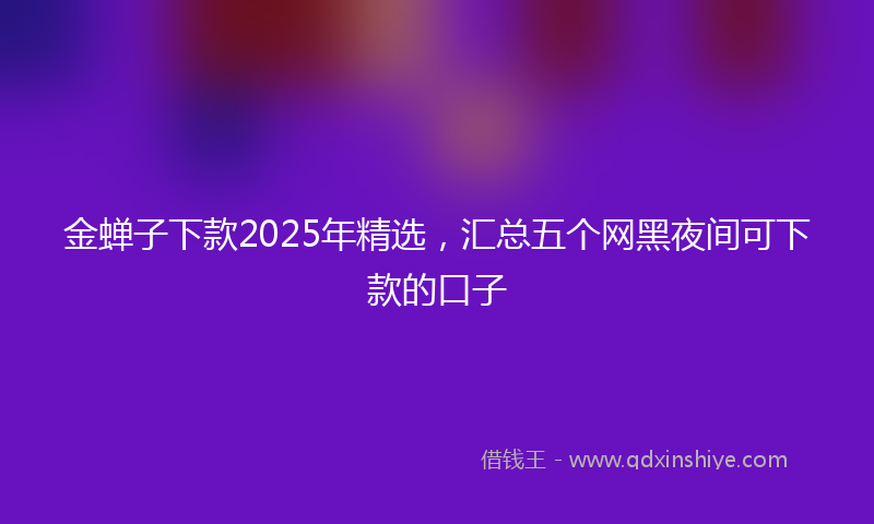 金蝉子下款2025年精选，汇总五个网黑夜间可下款的口子