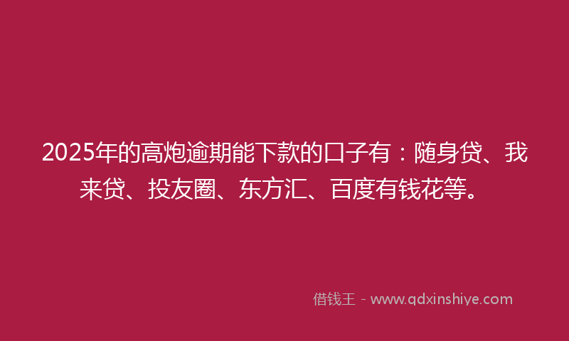2025年的高炮逾期能下款的口子有：随身贷、我来贷、投友圈、东方汇、百度有钱花等。