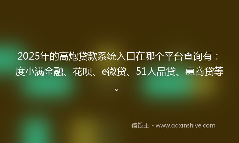 2025年的高炮贷款系统入口在哪个平台查询有：度小满金融、花呗、e微贷、51人品贷、惠商贷等。