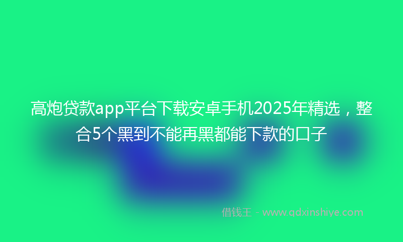 高炮贷款app平台下载安卓手机2025年精选，整合5个黑到不能再黑都能下款的口子