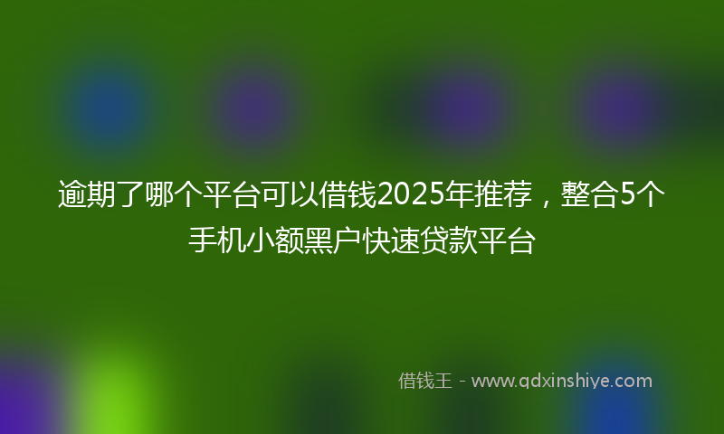 逾期了哪个平台可以借钱2025年推荐，整合5个手机小额黑户快速贷款平台