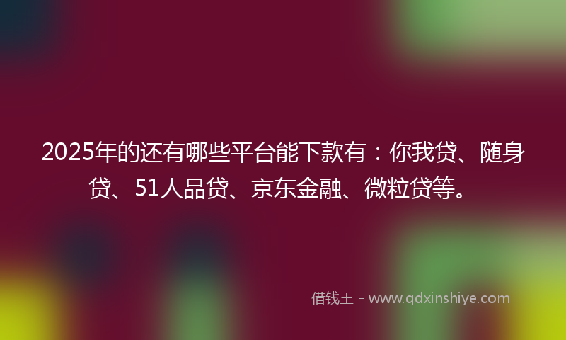 2025年的还有哪些平台能下款有：你我贷、随身贷、51人品贷、京东金融、微粒贷等。