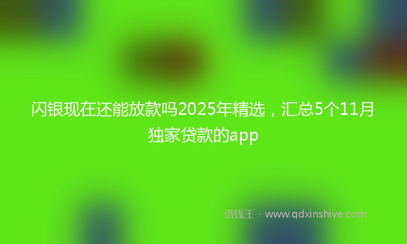 闪银现在还能放款吗2025年精选，汇总5个11月独家贷款的app