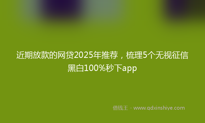 近期放款的网贷2025年推荐，梳理5个无视征信黑白100%秒下app