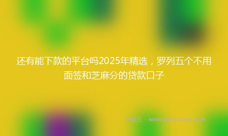 还有能下款的平台吗2025年精选，罗列五个不用面签和芝麻分的贷款口子