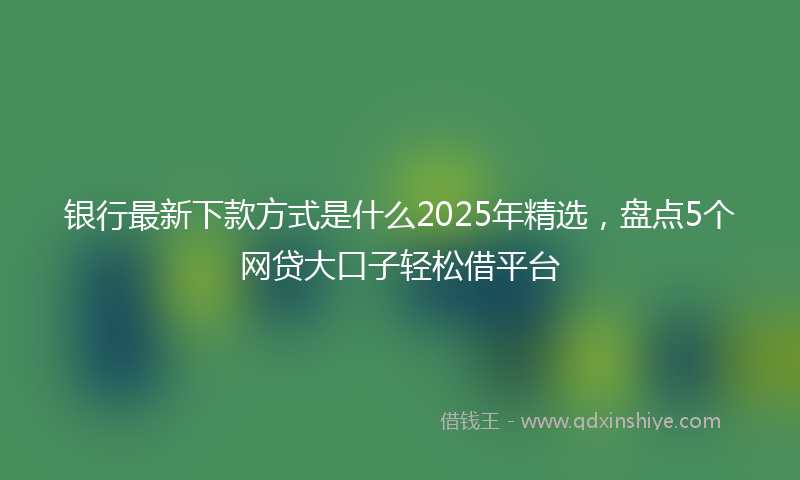 银行最新下款方式是什么2025年精选，盘点5个网贷大口子轻松借平台