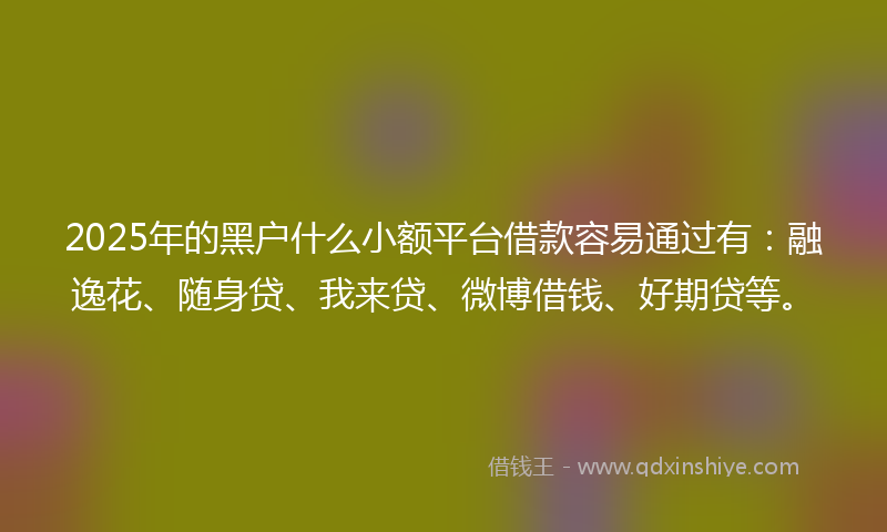 2025年的黑户什么小额平台借款容易通过有：融逸花、随身贷、我来贷、微博借钱、好期贷等。