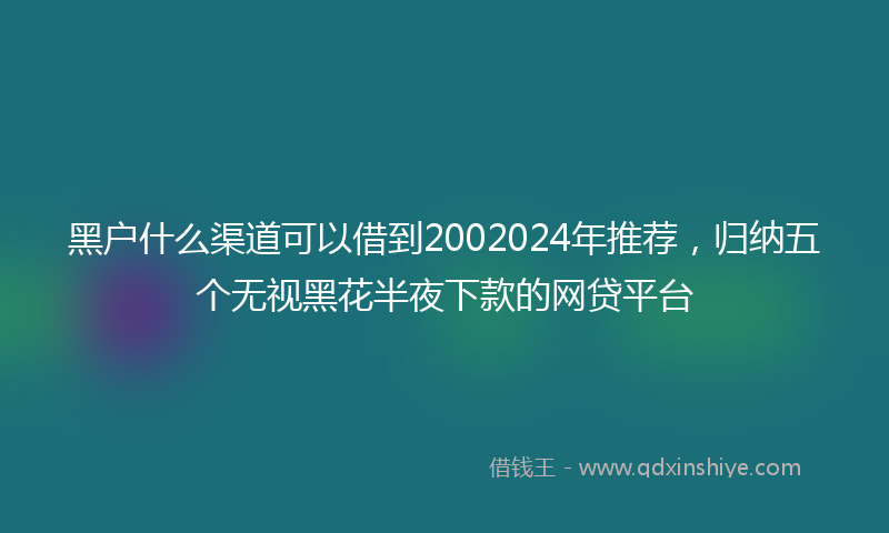 黑户什么渠道可以借到2002024年推荐，归纳五个无视黑花半夜下款的网贷平台
