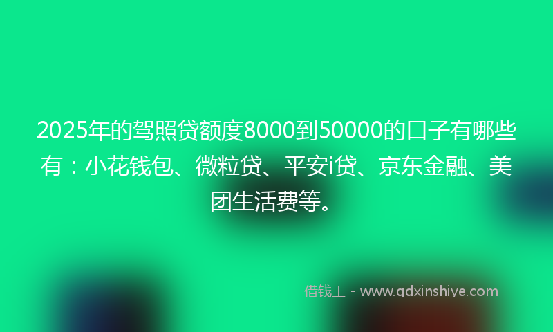2025年的驾照贷额度8000到50000的口子有哪些有：小花钱包、微粒贷、平安i贷、京东金融、美团生活费等。