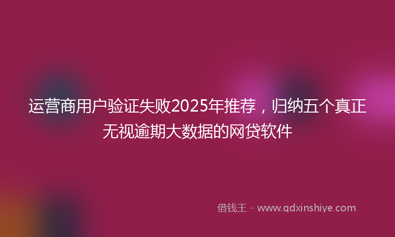 运营商用户验证失败2025年推荐，归纳五个真正无视逾期大数据的网贷软件