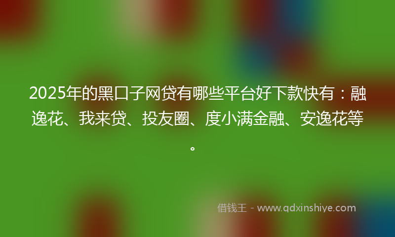 2025年的黑口子网贷有哪些平台好下款快有：融逸花、我来贷、投友圈、度小满金融、安逸花等。