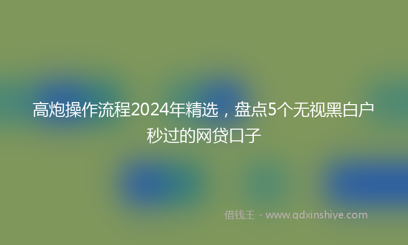 高炮操作流程2024年精选，盘点5个无视黑白户秒过的网贷口子