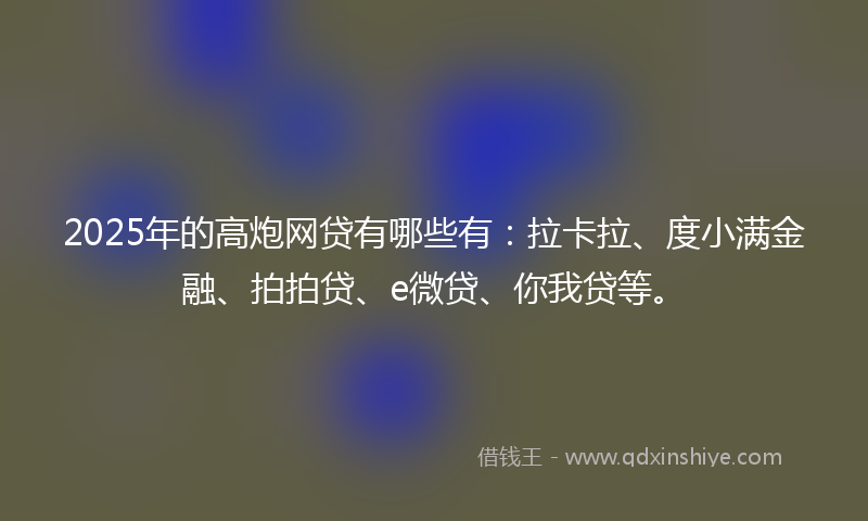 2025年的高炮网贷有哪些有：拉卡拉、度小满金融、拍拍贷、e微贷、你我贷等。
