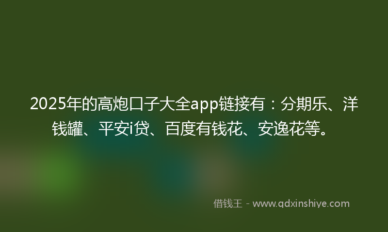 2025年的高炮口子大全app链接有：分期乐、洋钱罐、平安i贷、百度有钱花、安逸花等。