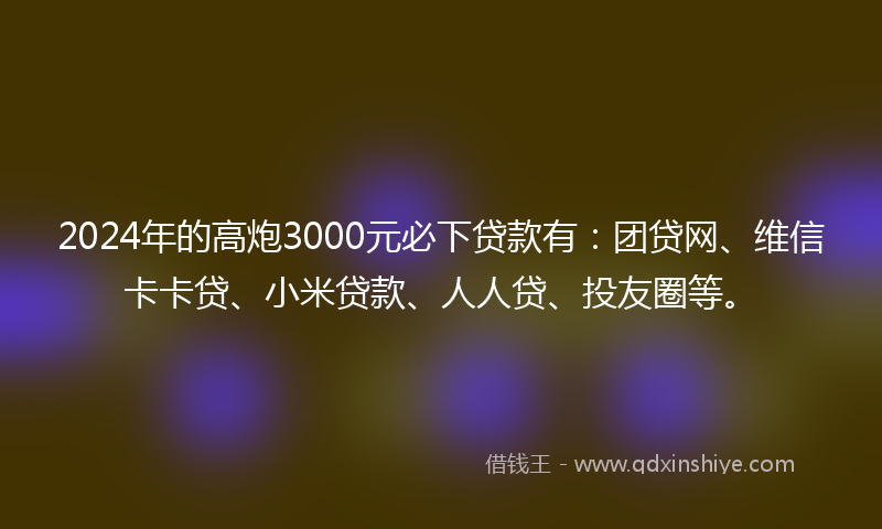 2024年的高炮3000元必下贷款有：团贷网、维信卡卡贷、小米贷款、人人贷、投友圈等。