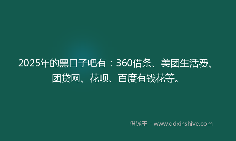2025年的黑口子吧有：360借条、美团生活费、团贷网、花呗、百度有钱花等。