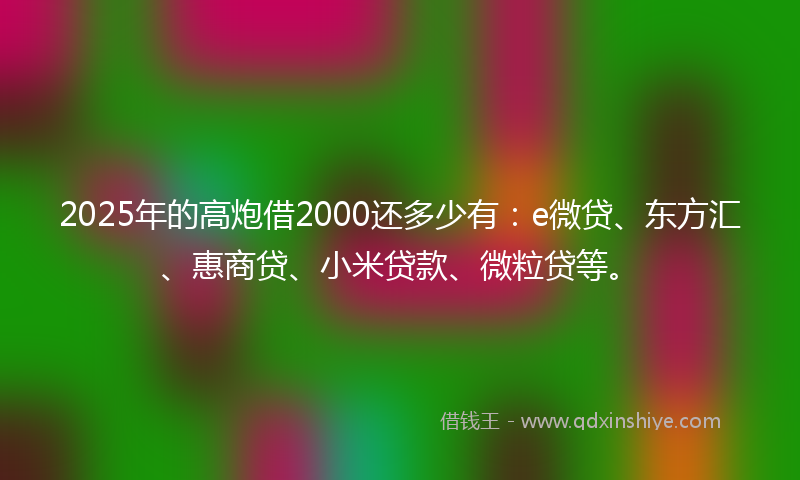 2025年的高炮借2000还多少有：e微贷、东方汇、惠商贷、小米贷款、微粒贷等。