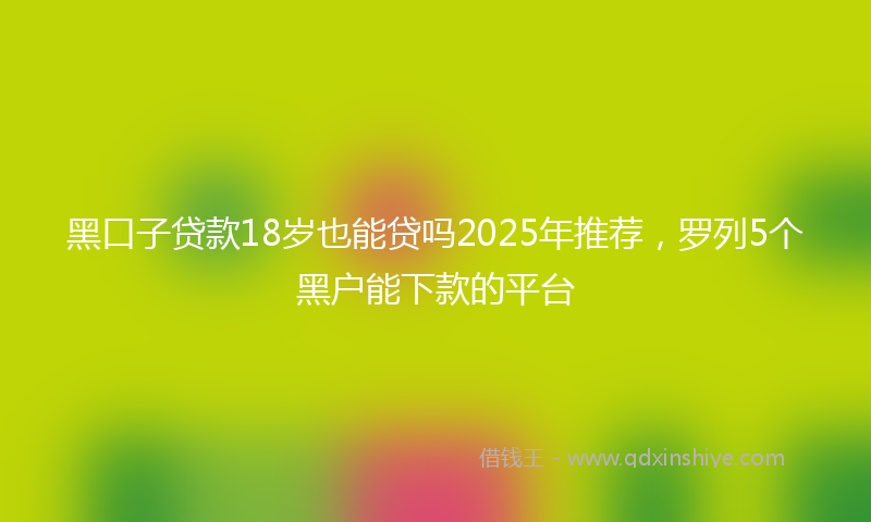 黑口子贷款18岁也能贷吗2025年推荐，罗列5个黑户能下款的平台