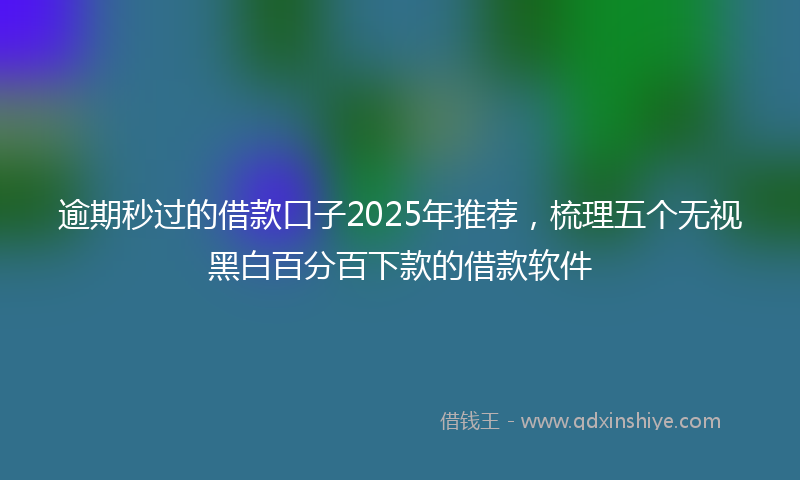 逾期秒过的借款口子2025年推荐，梳理五个无视黑白百分百下款的借款软件
