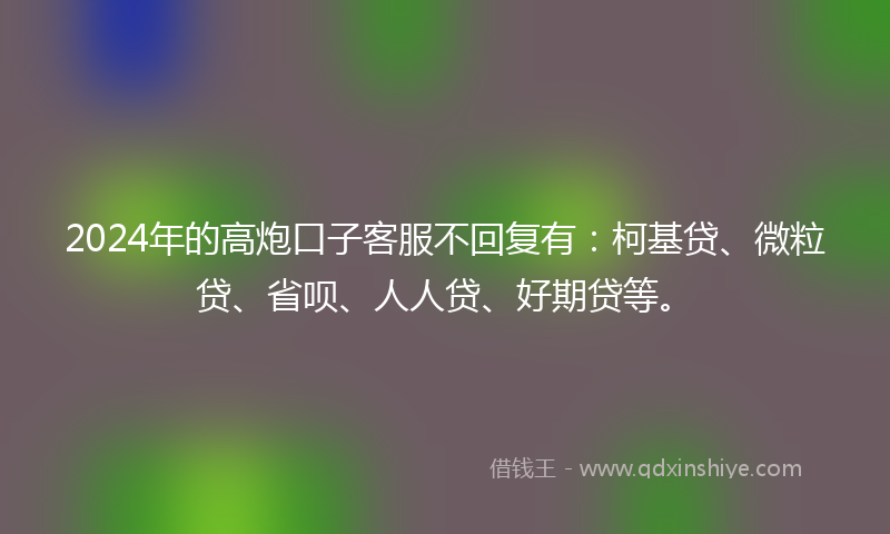 2024年的高炮口子客服不回复有：柯基贷、微粒贷、省呗、人人贷、好期贷等。