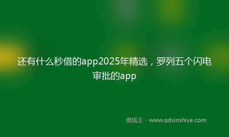 还有什么秒借的app2025年精选，罗列五个闪电审批的app