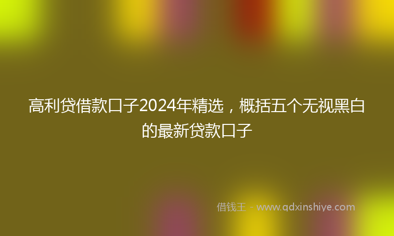 高利贷借款口子2024年精选，概括五个无视黑白的最新贷款口子