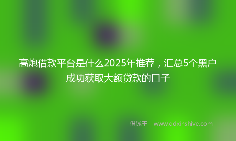 高炮借款平台是什么2025年推荐，汇总5个黑户成功获取大额贷款的口子