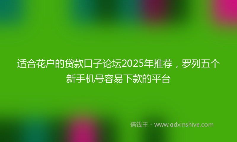 适合花户的贷款口子论坛2025年推荐，罗列五个新手机号容易下款的平台