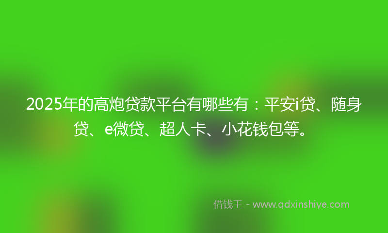 2025年的高炮贷款平台有哪些有：平安i贷、随身贷、e微贷、超人卡、小花钱包等。