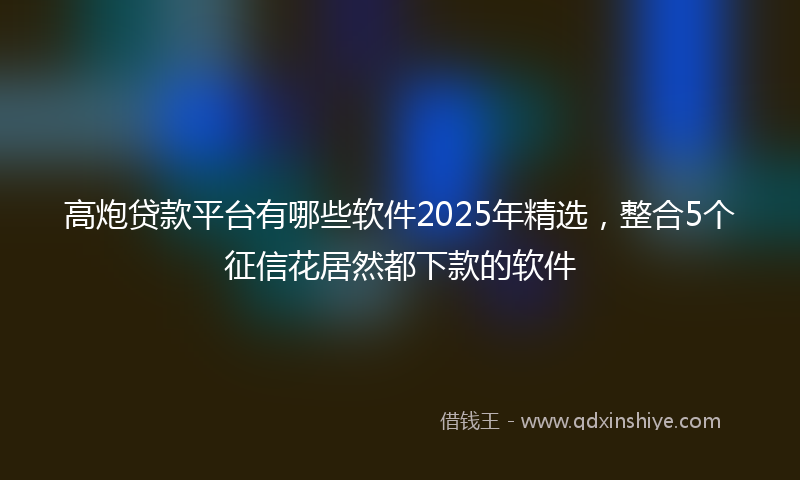 高炮贷款平台有哪些软件2025年精选，整合5个征信花居然都下款的软件