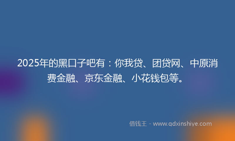 2025年的黑口子吧有：你我贷、团贷网、中原消费金融、京东金融、小花钱包等。