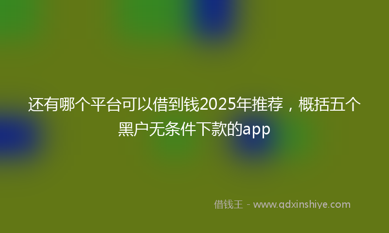 还有哪个平台可以借到钱2025年推荐，概括五个黑户无条件下款的app
