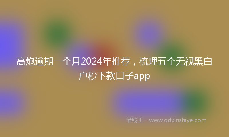 高炮逾期一个月2024年推荐，梳理五个无视黑白户秒下款口子app