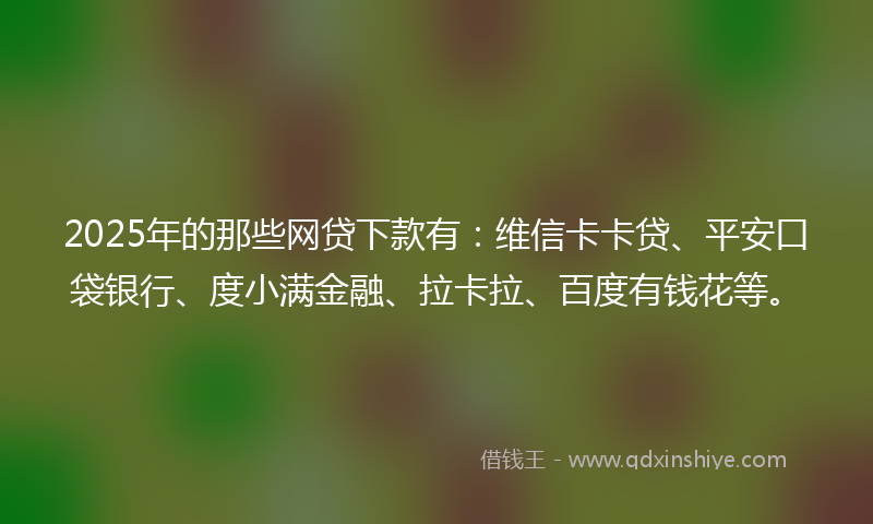 2025年的那些网贷下款有：维信卡卡贷、平安口袋银行、度小满金融、拉卡拉、百度有钱花等。