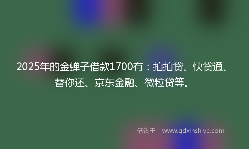 2025年的金蝉子借款1700有：拍拍贷、快贷通、替你还、京东金融、微粒贷等。