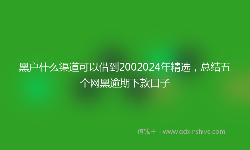 黑户什么渠道可以借到2002024年精选，总结五个网黑逾期下款口子
