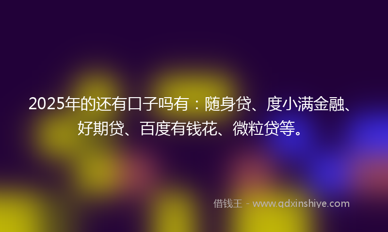 2025年的还有口子吗有：随身贷、度小满金融、好期贷、百度有钱花、微粒贷等。