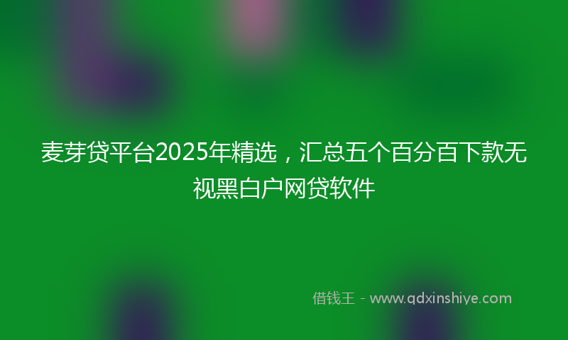 麦芽贷平台2025年精选，汇总五个百分百下款无视黑白户网贷软件