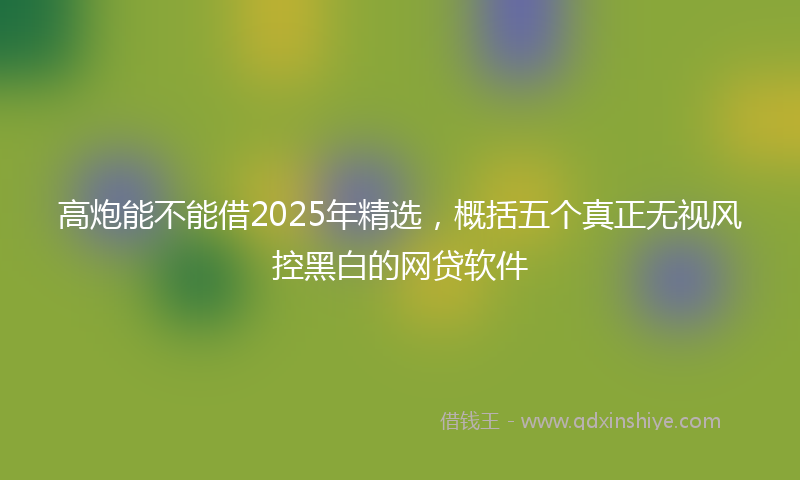 高炮能不能借2025年精选，概括五个真正无视风控黑白的网贷软件