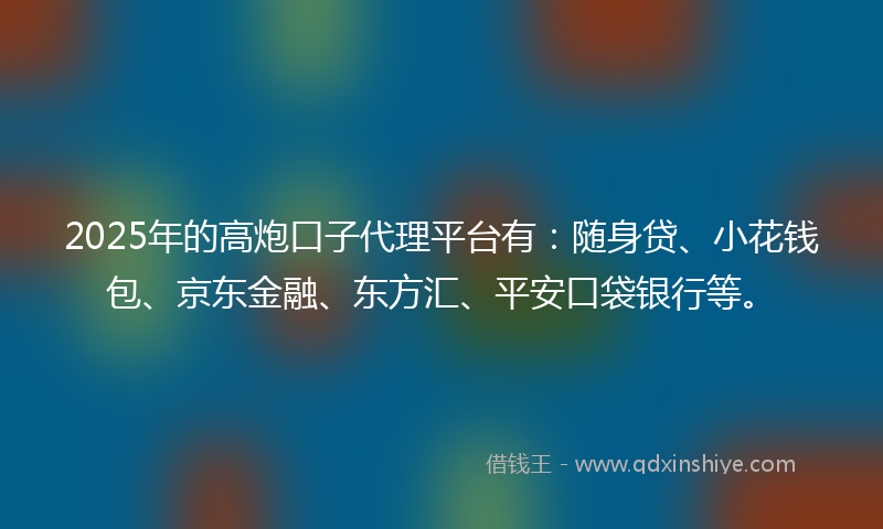 2025年的高炮口子代理平台有：随身贷、小花钱包、京东金融、东方汇、平安口袋银行等。